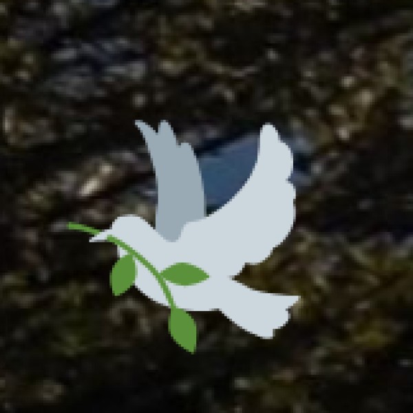 Tribal Tourism & Unique Experiences