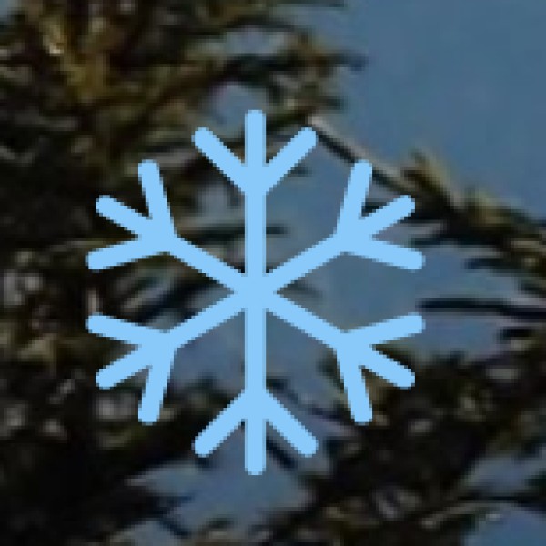 Lifestyle & Traditional Knowledge