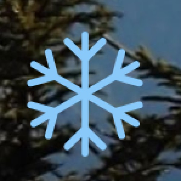 Meghalaya's tribal and unique experiences