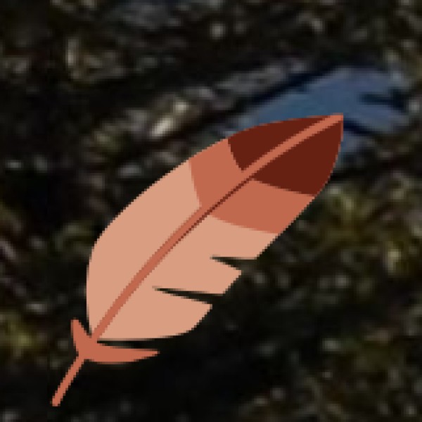 Kalbelia Embroidery & Jewelry