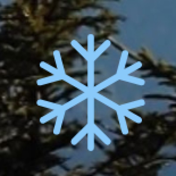 • Kongthong - The Whistling Village (Jingrwai Iawbei):