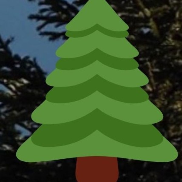 Jungle Safaris & Nature Trails