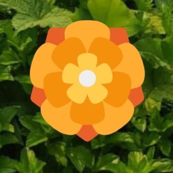 Challenges & Conservation Needs