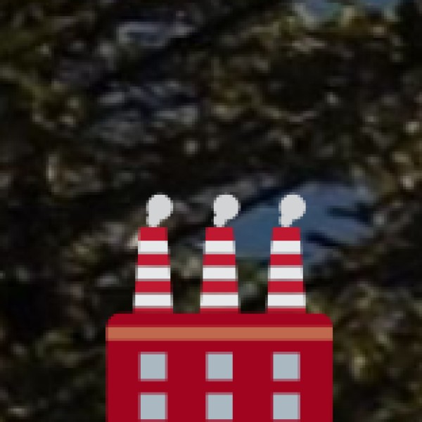 Paderu & Munchingput