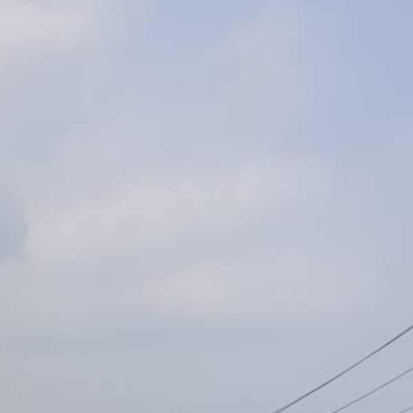 Savara