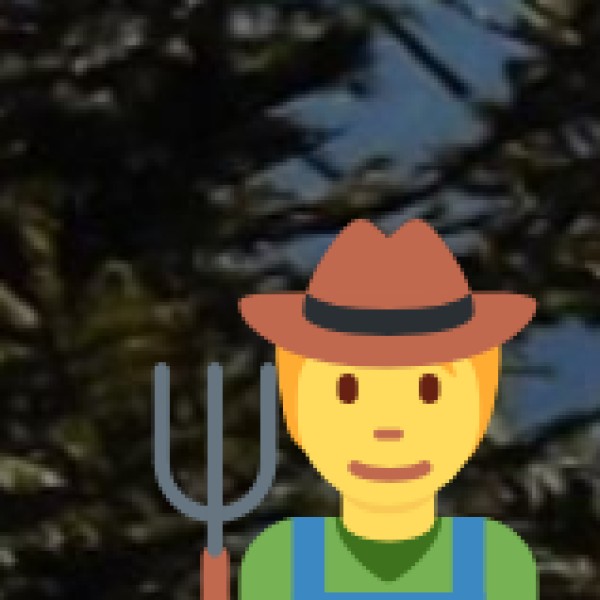 Tribal and unique experiences in Karnataka