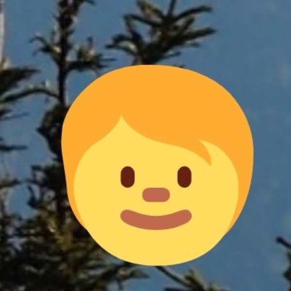 An eye-opening journey through a world