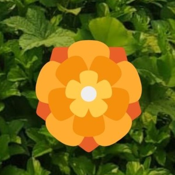 Major Tribal Communities in Goa