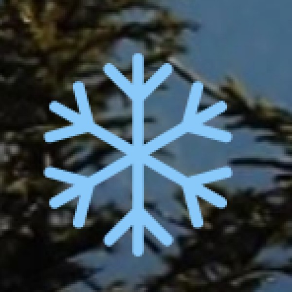 Adivasi Mela (Tribal Fair)