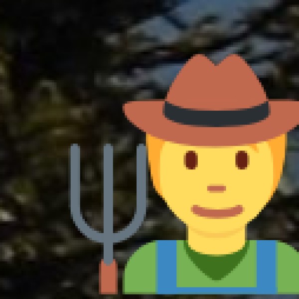 North Bengal (Dooars, Alipurduar)