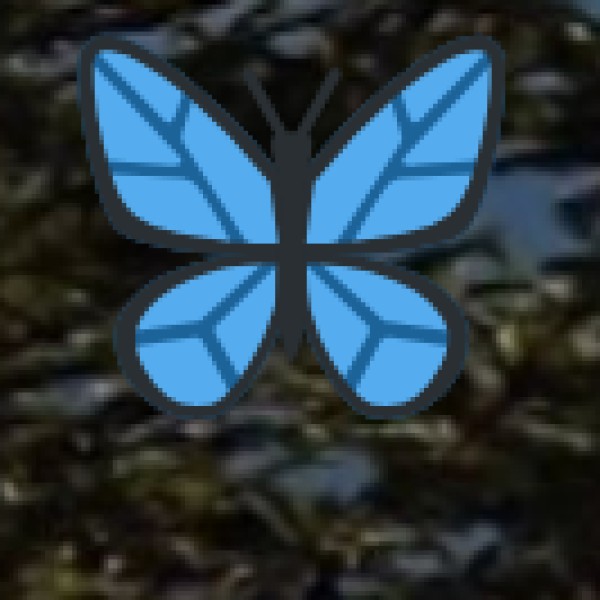 Why Experience Tribal Culture in Arunachal Pradesh?