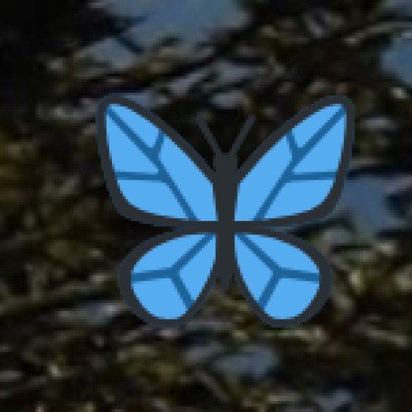 4. Naikda (Talavia):