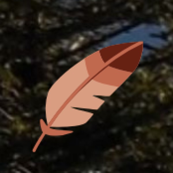 Kalaripayattu – Ancient Martial Art