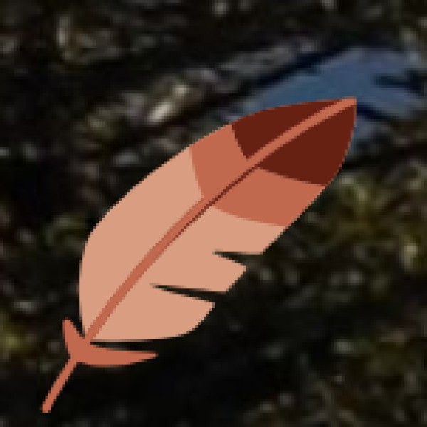 Best Places to Buy Tribal Handicrafts in Chhattisgarh