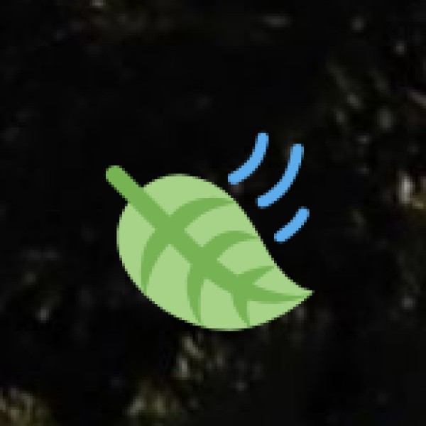 5. Proximity to Tribal Cultural Museum in Silvassa: