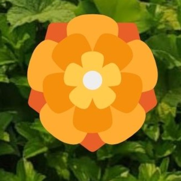 Island & Coastal Living