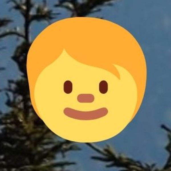 • Rural & Agro-Tourism (Emerging):