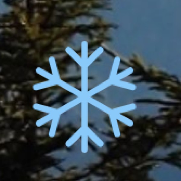 Rayagada – The Land of Dongria Kondh Tribes