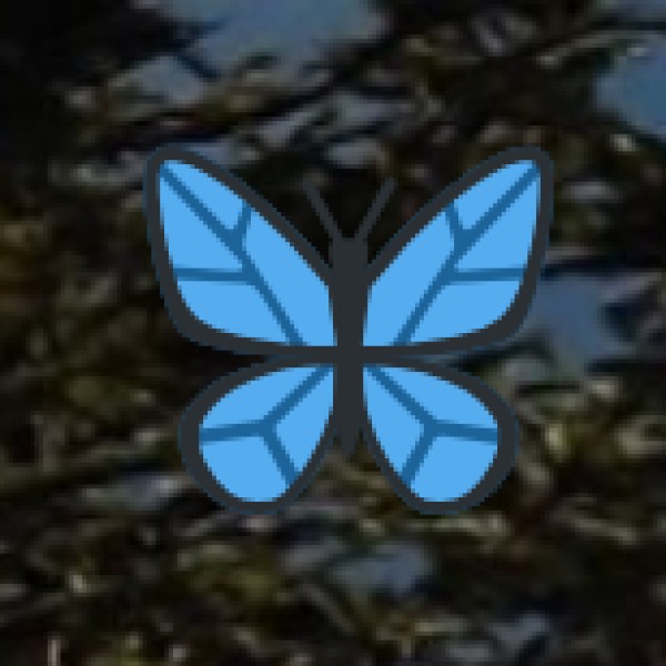 Opportunities for Responsible Tourism