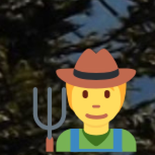 Mon & Longwa Village – The Land of the Konyak Warriors