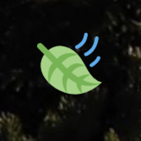 Tribal & Rural Experiences You Can Explore