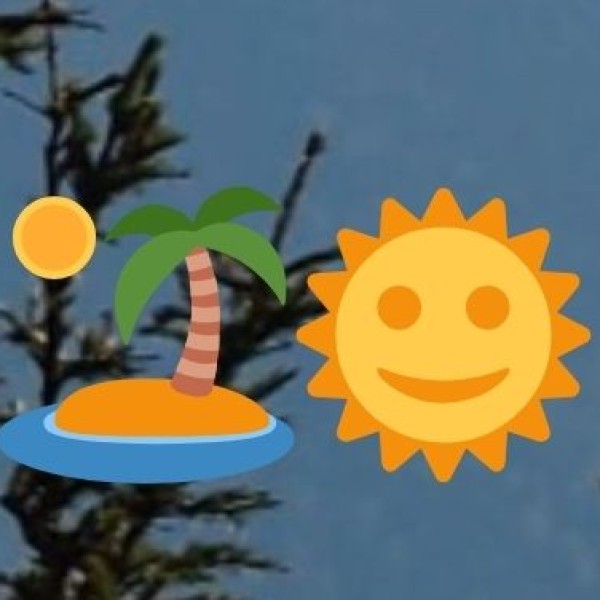 Damor, Kathodi, Kanjar, Kalbelia, Sansi, and Rebari