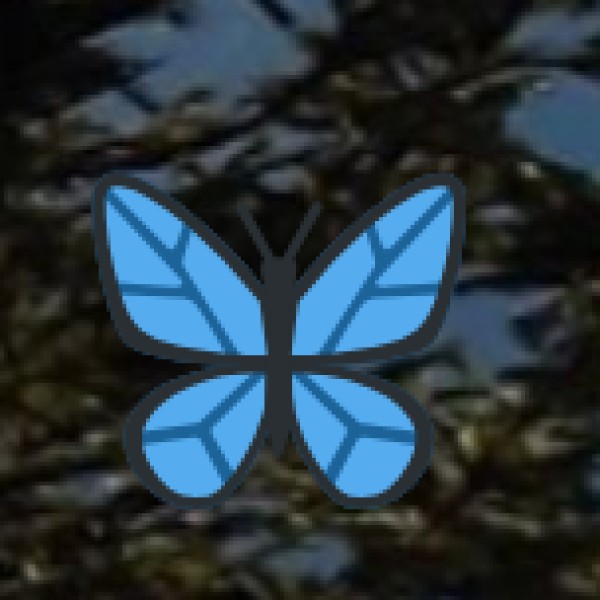 UNIQUE ETHNIC & CULTURAL EXPERIENCES