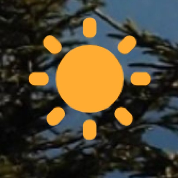 Traditional Performances: