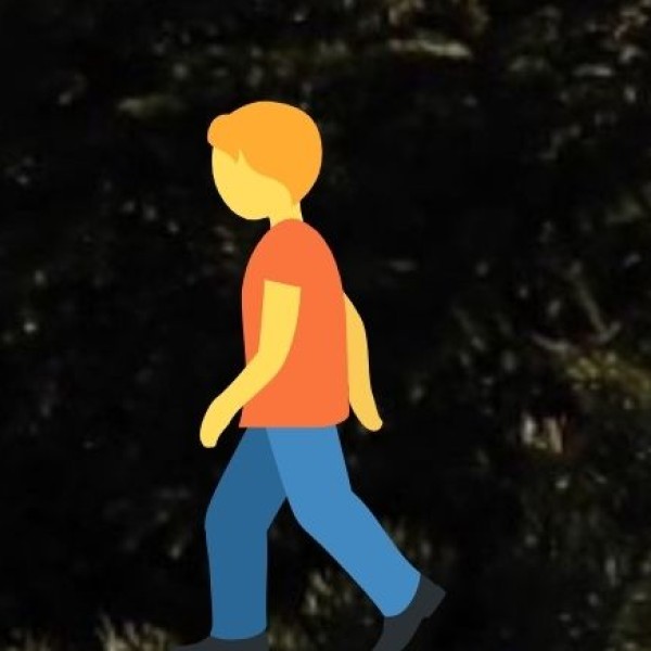 . Portuguese Architectural Immersion: