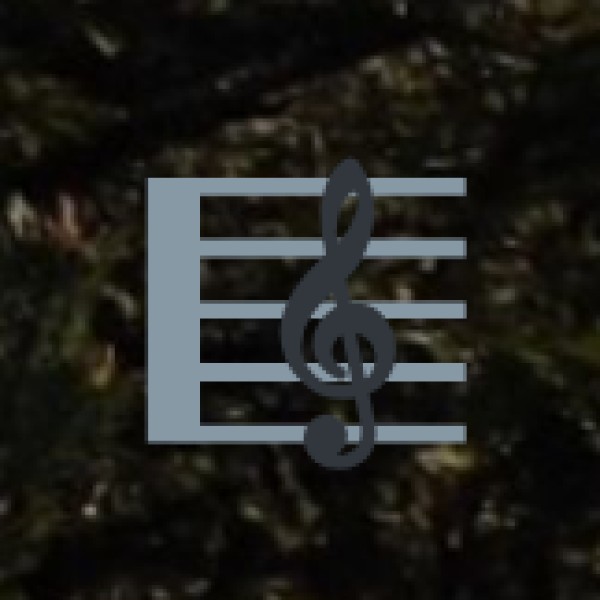 Nomadic Music & Dance Nights (Barmer/Jodhpur)