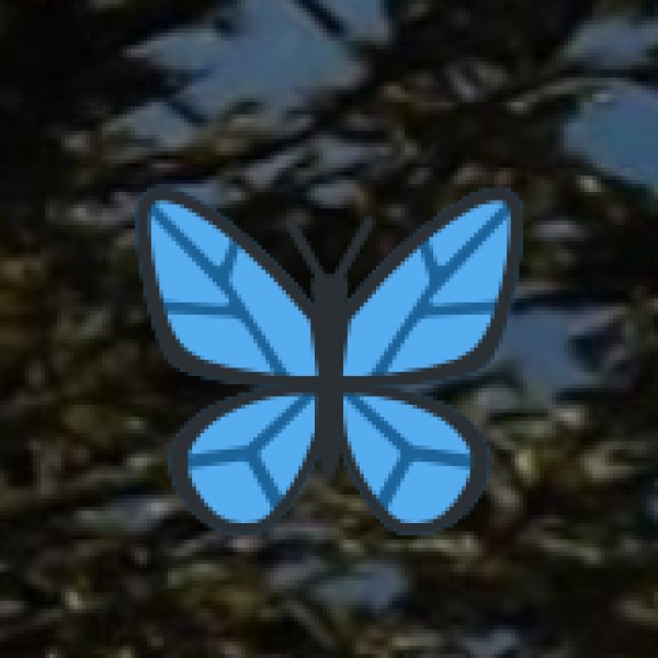 Unique Experiences Beyond Tribal Culture (Daman & Diu Specific):