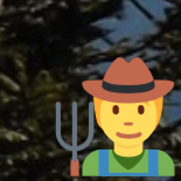 Tribal Hut Stays & Cultural Camps