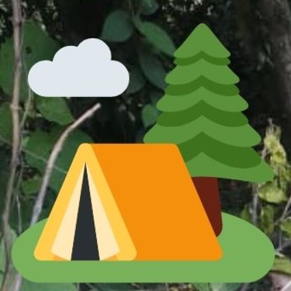 Community-based Experiences