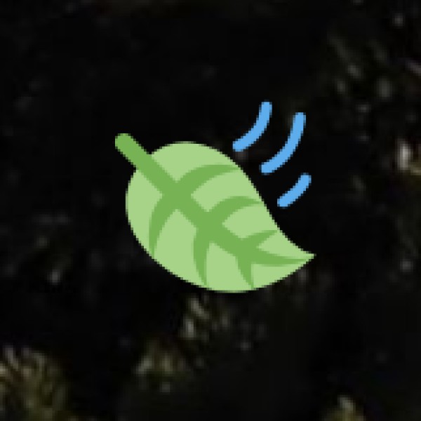 Unique Tribal Festivals & Events