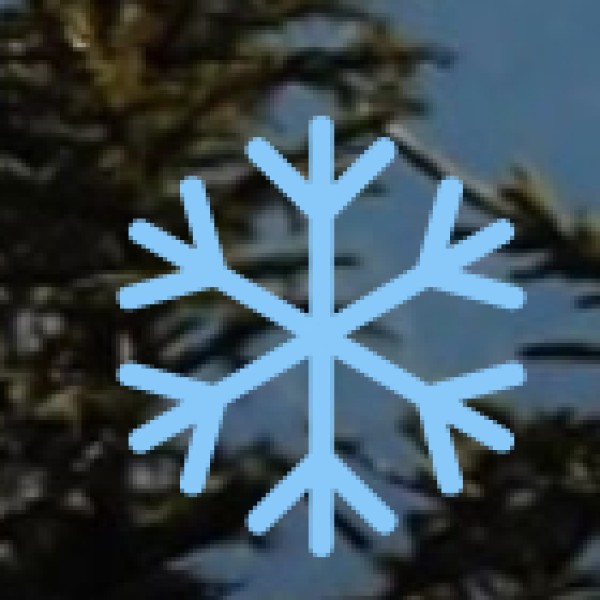 Sacred Grove Tours (Kaavu)