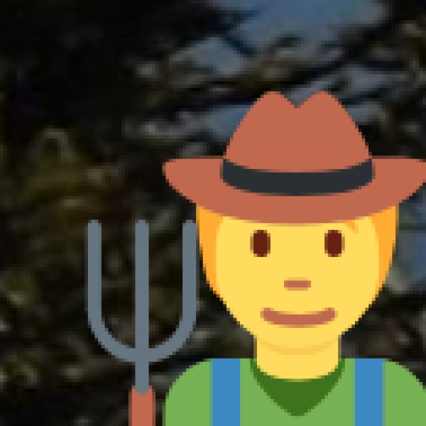 Tribal Tourism & Unique Experiences in Nagaland