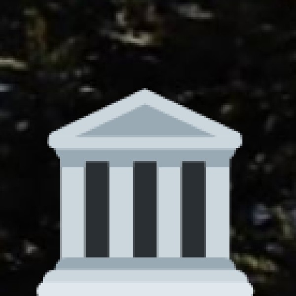 Government & NGO Initiatives