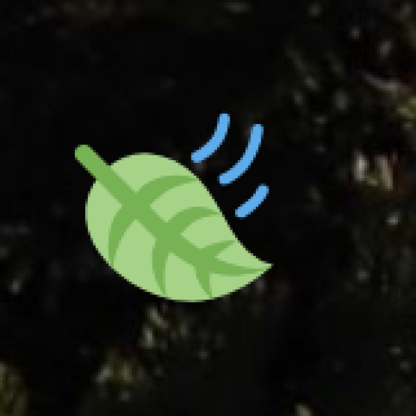 Sustainable Tribal Tourism: A Way Forward