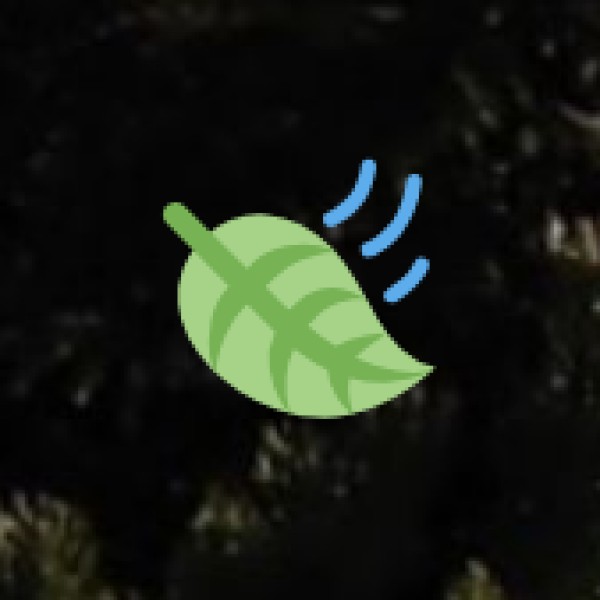 Culinary Experiences with Tribal Influence