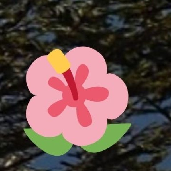 Tribal festivals & cultural events