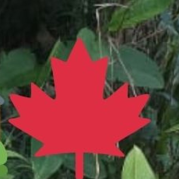 Responsible Travel Tips