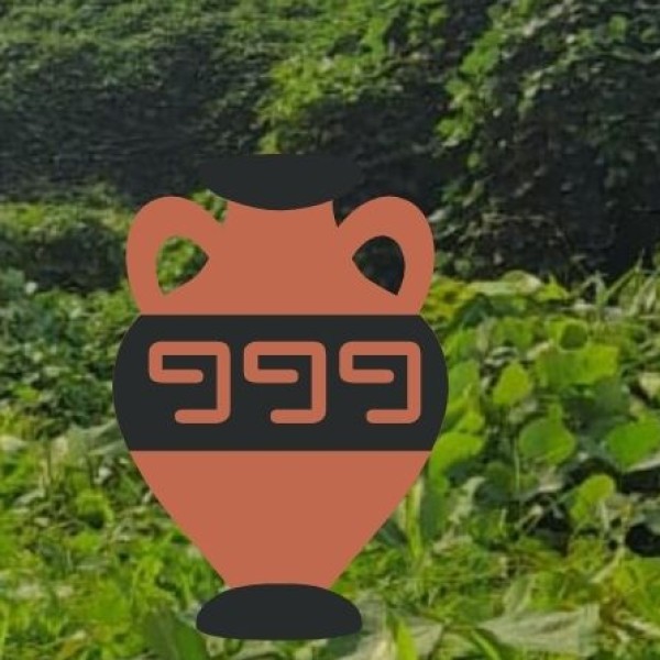 Government and NGO Efforts