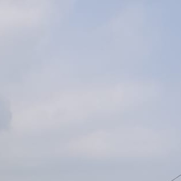 Kite Festival (Jodhpur/Jaipur) and Desert Festival (Jaisalmer)
