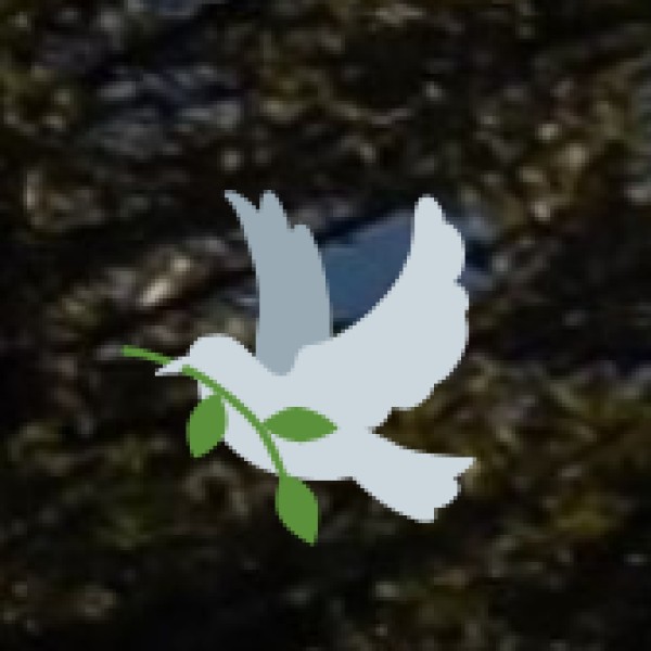 Tribal & Unique Experiences