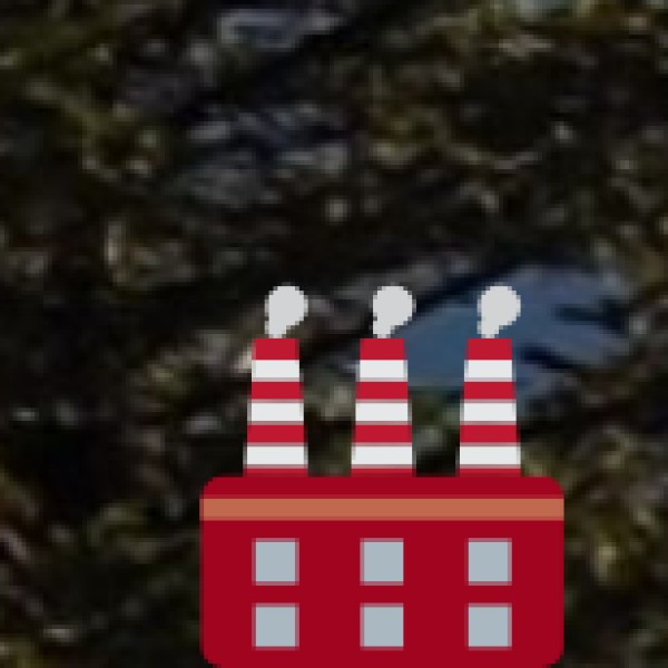 Village Life Experience Programs (VLEP)