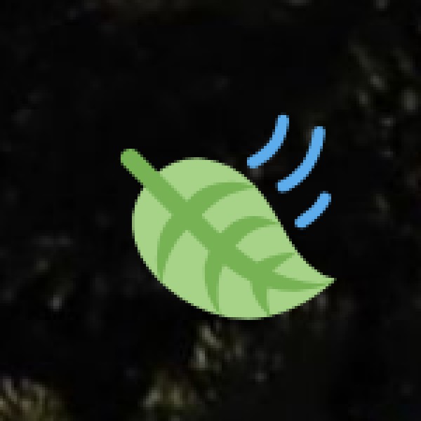 • Lippan Art (Mud Mirror Work):