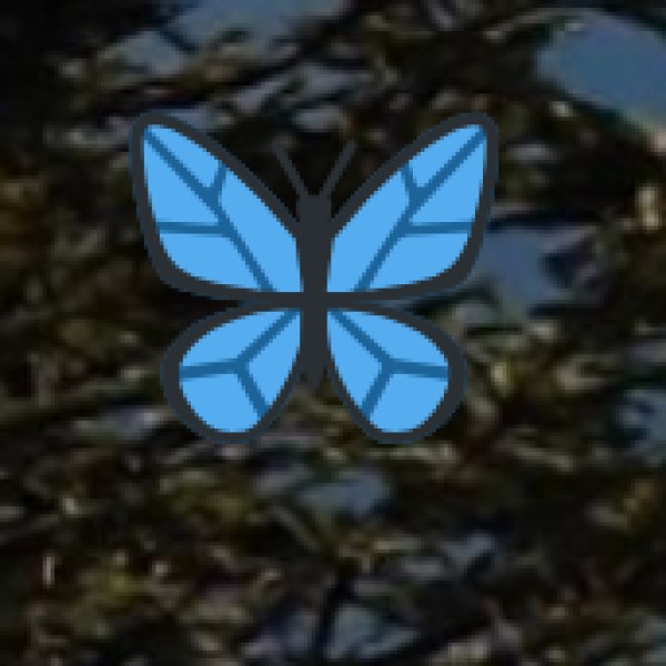 Rollapadu Wildlife Sanctuary