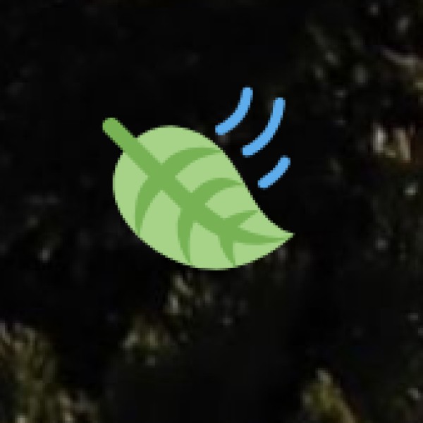 Eco-Tourism Initiatives and Conservation Efforts