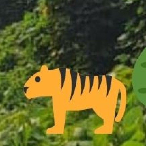 Barnawapara Wildlife Sanctuary – A Hidden Safari Gem