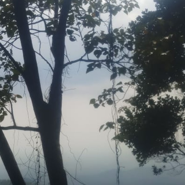 Why Meghalaya is India’s Best Cave Exploration Destination?